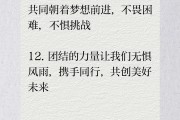 爱游戏体育app-团结一心，共同征战赢得喝彩