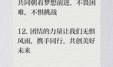 爱游戏体育app-团结一心，共同征战赢得喝彩