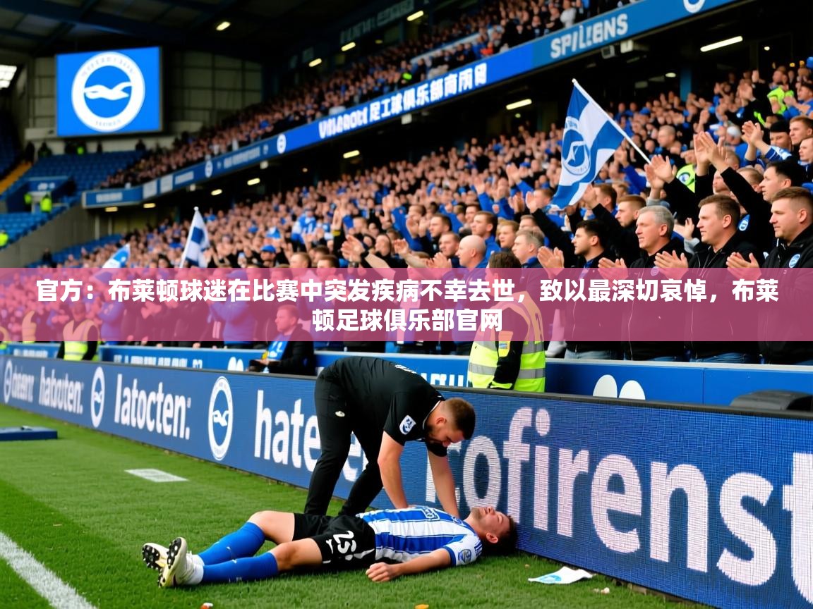 2025爱游戏官方：布莱顿球迷在比赛中突发疾病不幸去世，致以最深切哀悼，布莱顿足球俱乐部官网  第1张
