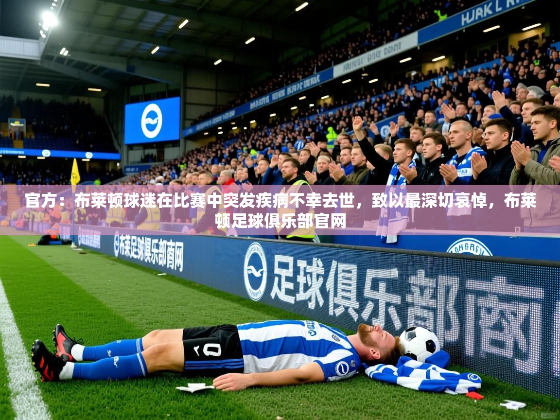 2025爱游戏官方：布莱顿球迷在比赛中突发疾病不幸去世，致以最深切哀悼，布莱顿足球俱乐部官网  第2张