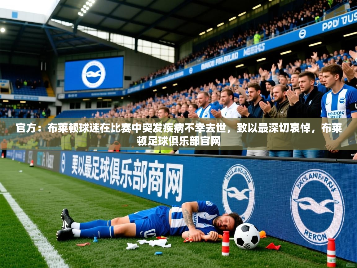 2025爱游戏官方：布莱顿球迷在比赛中突发疾病不幸去世，致以最深切哀悼，布莱顿足球俱乐部官网  第3张
